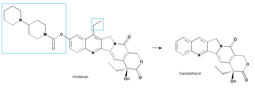 Irinotacan and Camptothecin