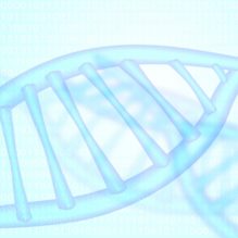 バイオ医薬品における規格及び試験方法の設定と安定性試験（長期保存試験）による有効期間の設定【提携セミナー】