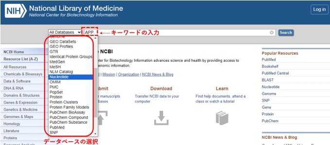 NCBIのTOP画面からの検索