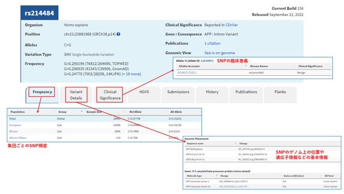 個別のSNP情報詳細