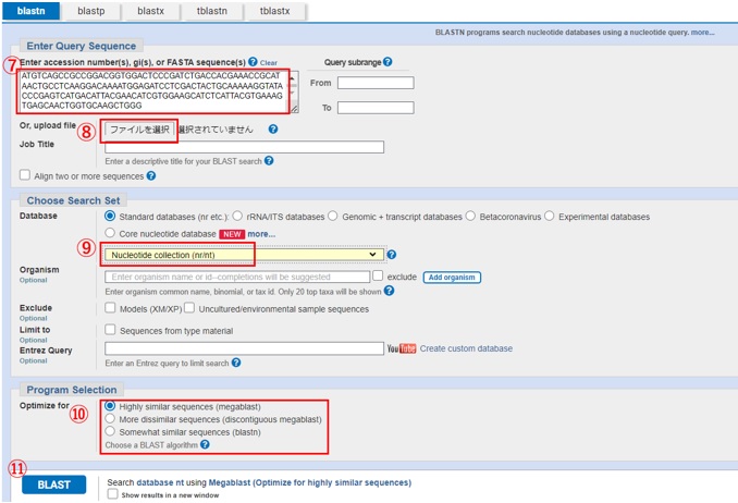 Nucleotide BLASTの検索方法