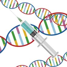 iPS細胞を用いたDNA損傷応答研究と再生医療への応用【提携セミナー】