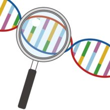 核酸医薬の基礎知識およびドラッグデリバリーシステム(DDS)の実用化とその課題【提携セミナー】