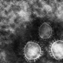 実践  抗菌剤・抗ウイルス剤・防カビ剤セミナー【提携セミナー】