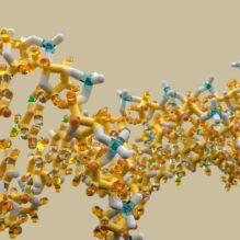 脂質をベースとしたナノDDS（リポソーム、脂質ナノ粒子）の設計と評価方法【提携セミナー】