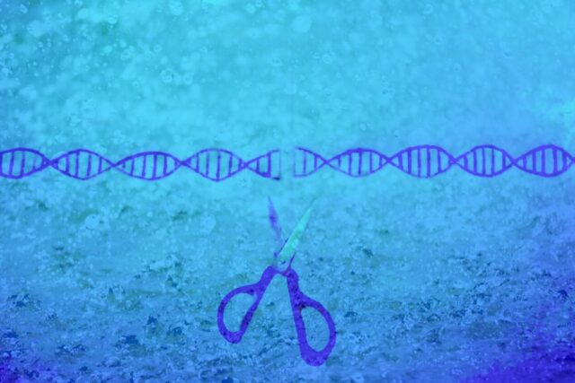 【基礎からわかるゲノム編集】ゲノム編集技術の主な改良・応用技術を解説
