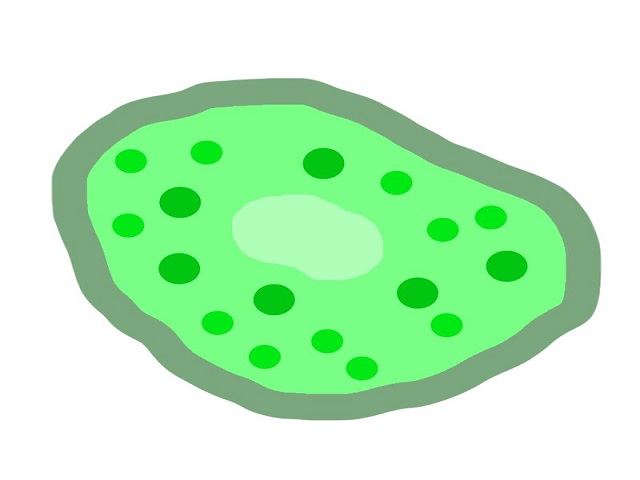 微細藻類の培養_設備設計技術