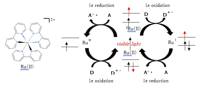 Ru(II)錯体を用いた光増感反応の概念図
