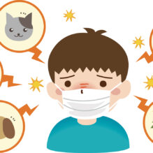 アレルギー性鼻炎の発症メカニズムと臨床現場が求める薬剤【提携セミナー】
