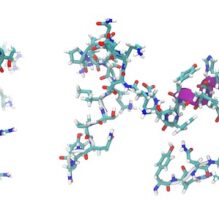 ペプチド医薬品・原薬の製造およびペプチドの合成・分析について【提携セミナー】