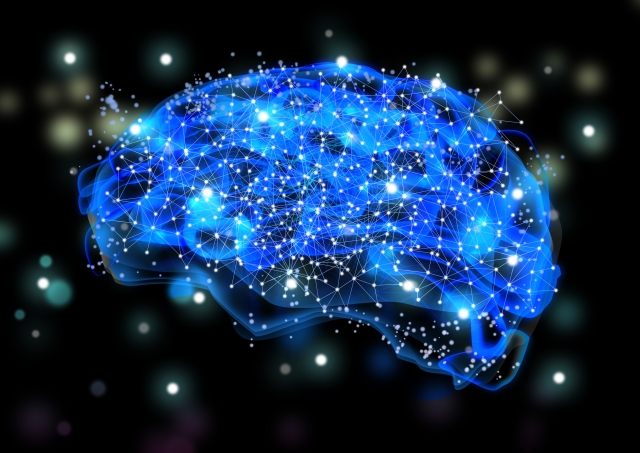脳の仕組み・構造と脳計測セミナー