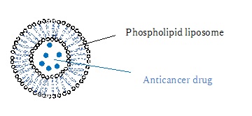 Image of Nano-liposome