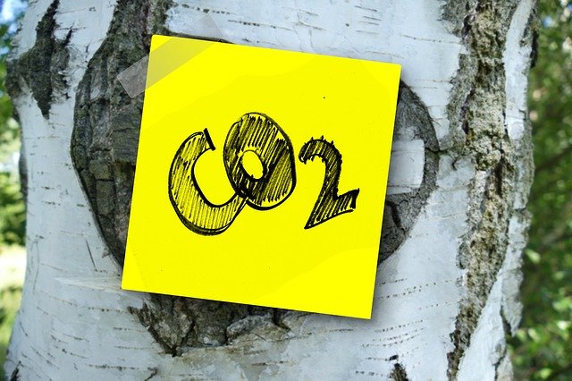 CO2還元・変換触媒開発