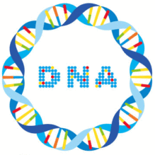 免疫疾患やがん免疫に関与するDNA折り畳み構造研究の最新動向と今後の展望【提携セミナー】