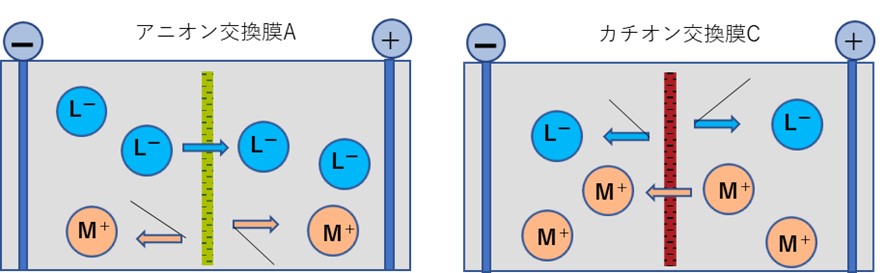アニオン交換膜とカチオン交換膜の原理