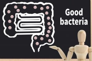 バクテリオシンの解説