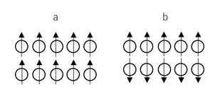 物質の磁気双極子の並び方