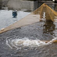好気的脱窒を用いた閉鎖循環式陸上養殖システム【提携セミナー】