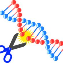 遺伝子組換えタンパク質試薬によるエンドトキシン測定【提携セミナー】