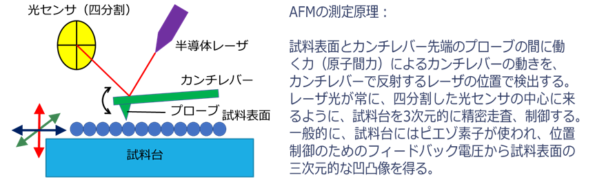 原子間力顕微鏡(AFM)