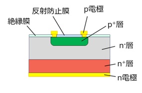 PINフォトダイオード断面のみで表示