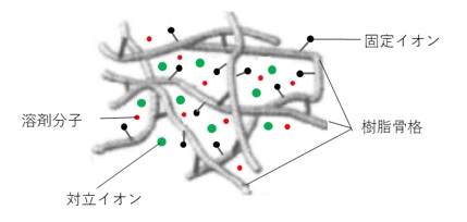 イオン交換樹脂の構造イメージ図