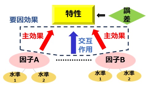 実験計画法の基本用語