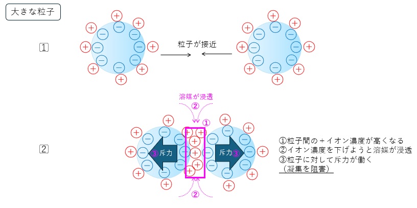 粒子接近時の対イオンの挙動イメージ（大きな粒子）