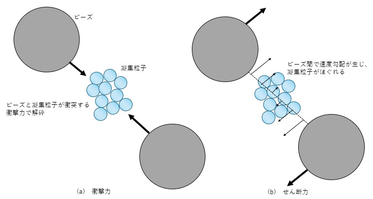 ビーズと凝集粒子の相互作用