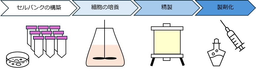 バイオ医薬品の一般的な製造プロセス