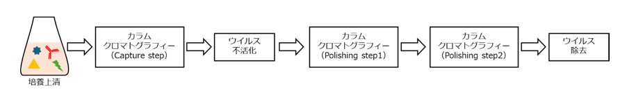 抗体医薬品の一般的な精製プロセス