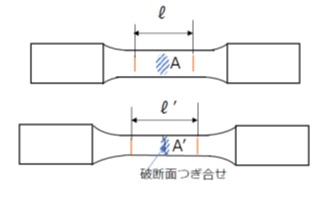 伸びと絞り