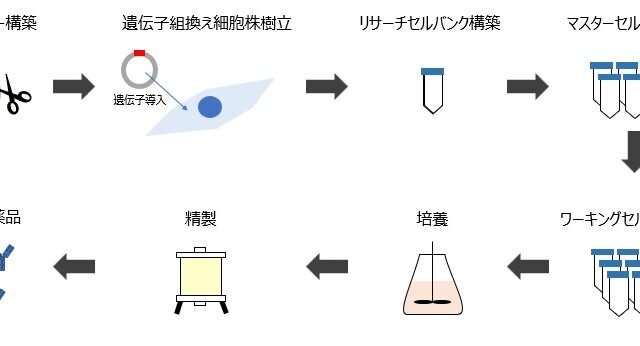 セルバンクの種類とセルバンク化プロセスをやさしく解説《バイオ医薬品製造の基盤》