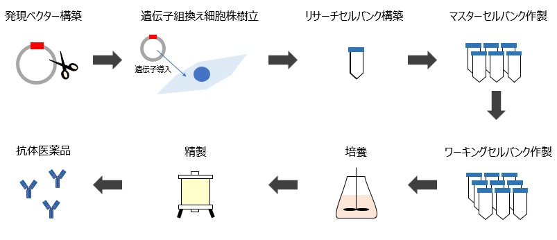 セルバンク化の流れ