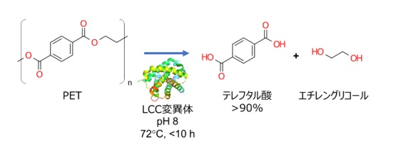 酵素によるPETの解重合（LCC変異体⇒テレフタル酸+エチレングリコール）