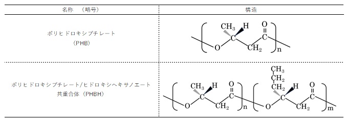 微生物生産系の代表的な生分解性プラスチック