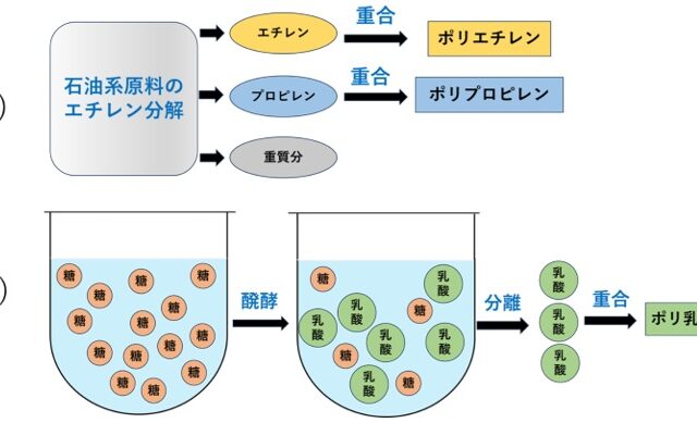 生分解性プラスチックが普及しない理由とは？生産量の現実と問題点・技術課題を解説