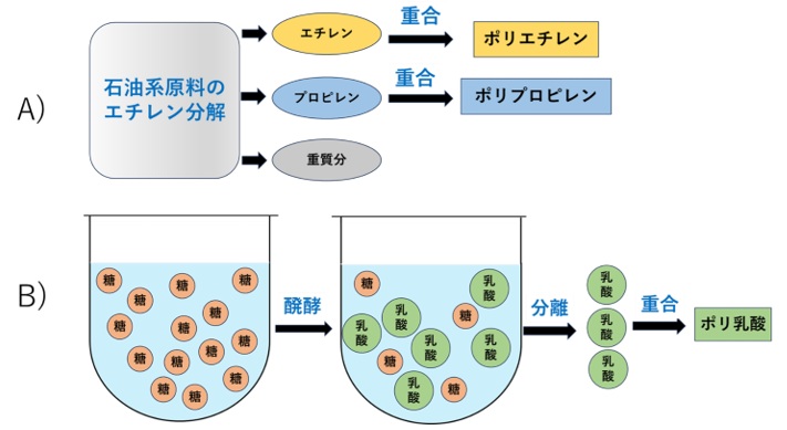 ポリ乳酸とポリオレフィンとの製造プロセス比較（イメージ図）