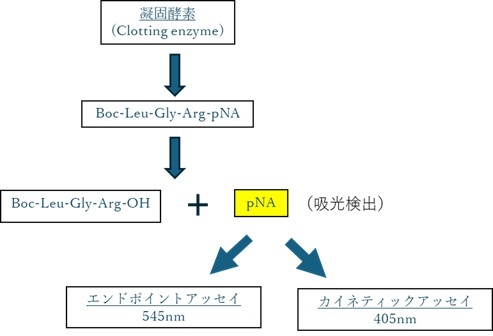 エンドトキシン試験の実務知識を初心者向けに解説 (試験法/管理/バリデーション等)