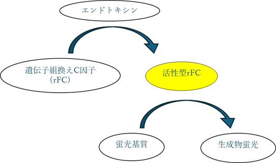 リコンビナントC因子