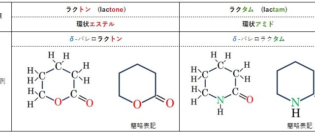 ３分でわかる ラクトンとラクタムの違いとは？構造・性質・応用分野をやさしく解説