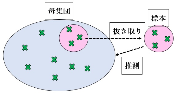 「母集団」と「標本」の違い