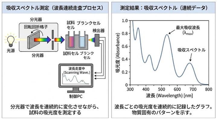 吸収スペクトルの測定