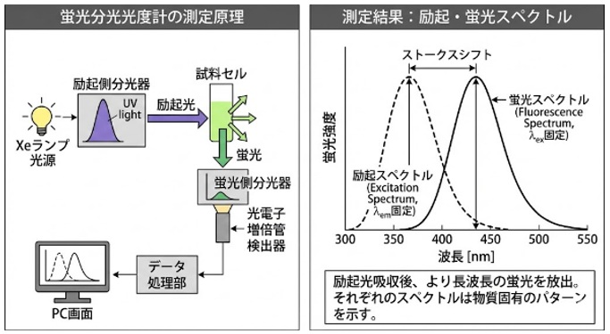蛍光分光光度計
