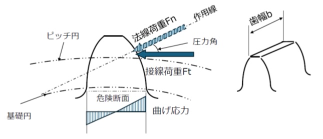 歯の断面と接線荷重