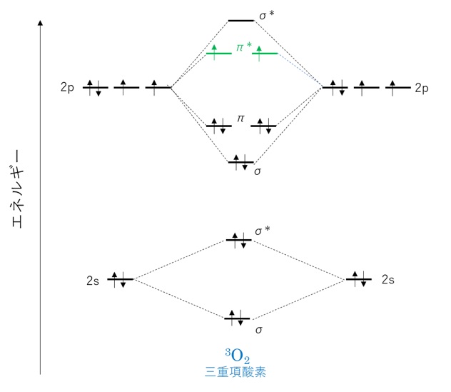 三重項酸素の分子軌道