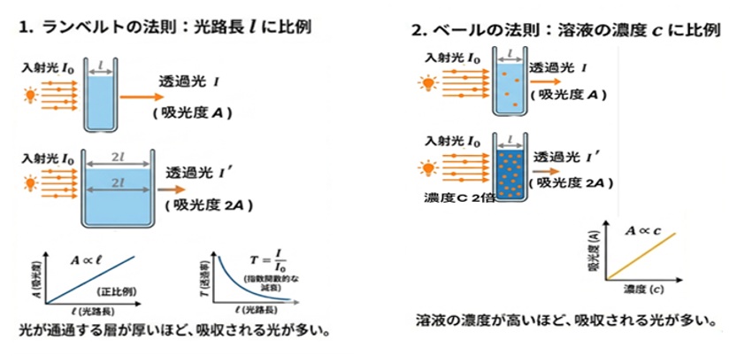 ランベルト・ベールの法則　概要