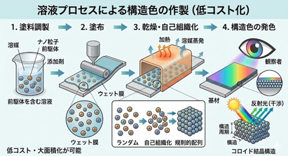 塗布法による構造色の形成：イメージ図