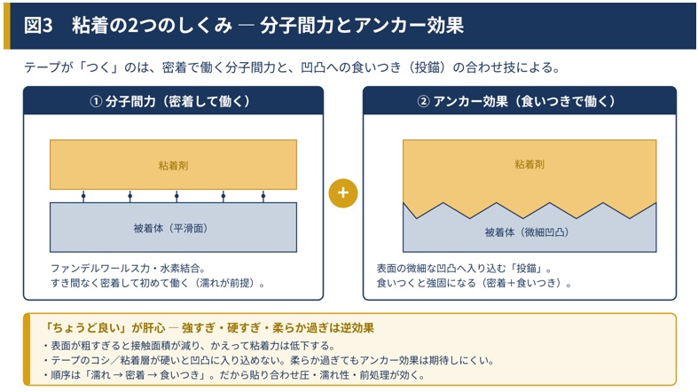 粘着の2つのしくみ ― 分子間力とアンカー効果