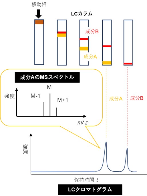 LC-MSにおける成分分離と検出のイメージ
